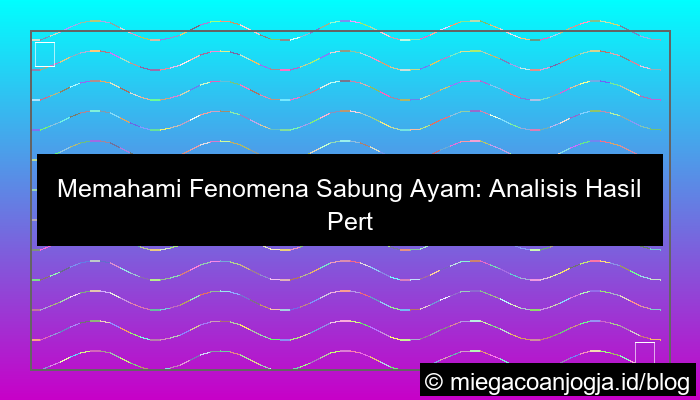 gambar sabung ayam hasil pertandingan