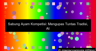 sabung ayam kompetisi