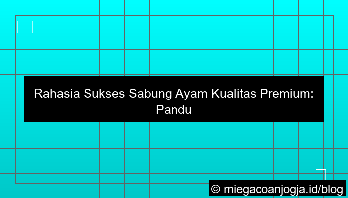 sabung ayam kualitas premium