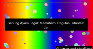 sabung ayam legal