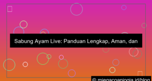 sabung ayam live