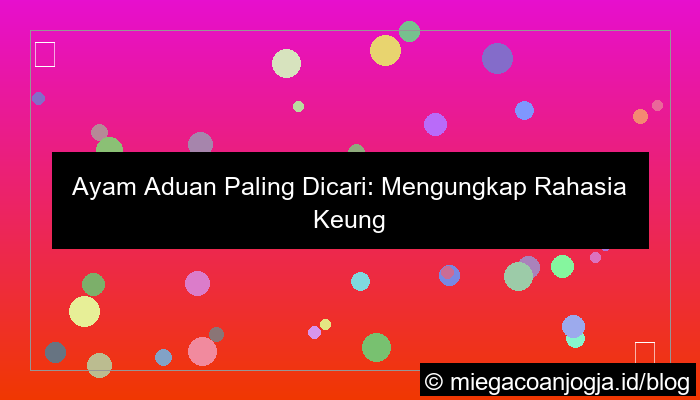 sabung ayam paling dicari