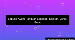 visual sabung ayam panduan lengkap