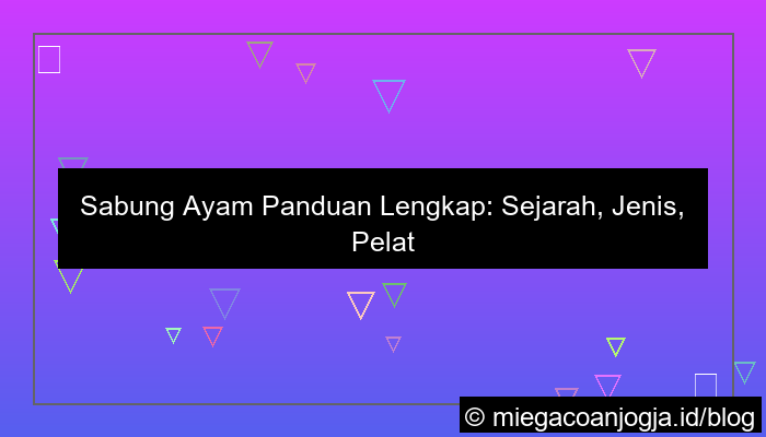visual sabung ayam panduan lengkap