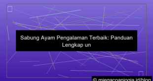 sabung ayam pengalaman terbaik