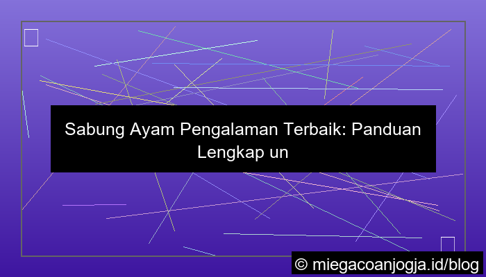 sabung ayam pengalaman terbaik