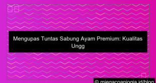 sabung ayam premium