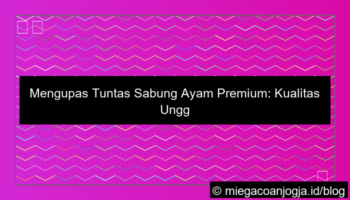 sabung ayam premium