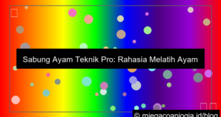 sabung ayam teknik pro