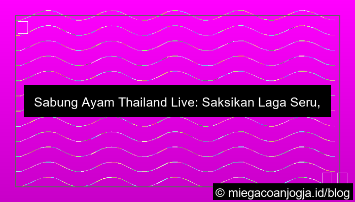 sabung ayam thailand live