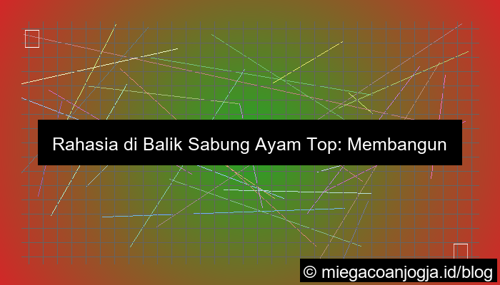 sabung ayam top