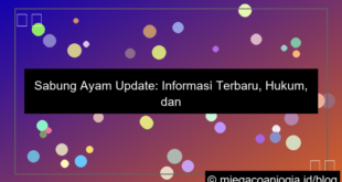 sabung ayam update