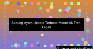 sabung ayam update terbaru