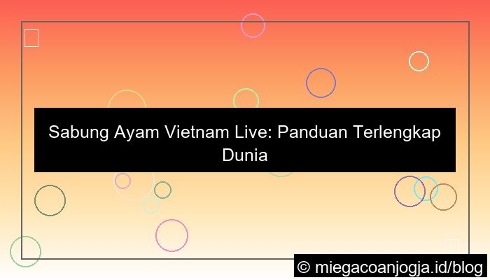sabung ayam vietnam live