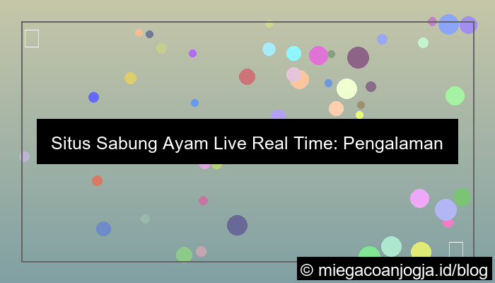 desain situs sabung ayam live real time