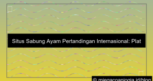 situs sabung ayam pertandingan internasional