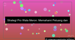 strategi pro wala meron