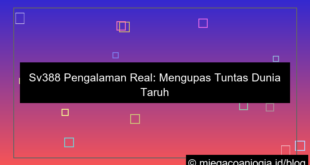 visual sv388 pengalaman real
