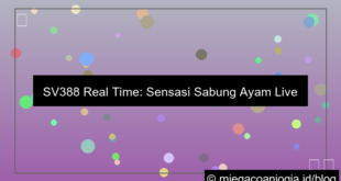 visual sv388 real time