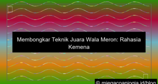 visual teknik juara wala meron
