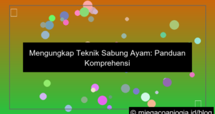 ilustrasi teknik sabung ayam