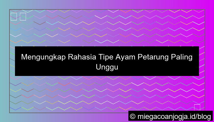 visual tipe ayam petarung