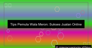 tips pemula wala meron