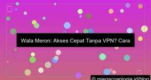 ilustrasi wala meron akses cepat tanpa vpn
