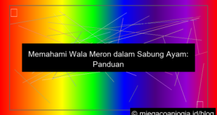 visual wala meron dalam pertandingan sabung ayam