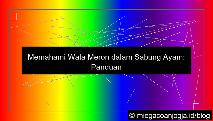 visual wala meron dalam pertandingan sabung ayam
