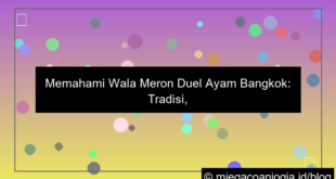 wala meron duel ayam bangkok