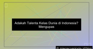 visual wala meron kelas dunia