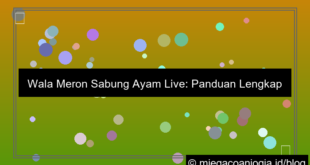 wala meron sabung ayam live