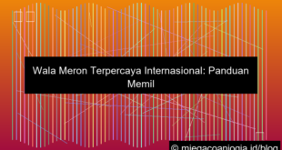 wala meron terpercaya internasional