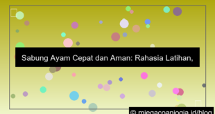 sabung ayam cepat dan aman