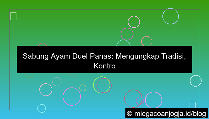 sabung ayam duel panas