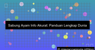 gambar sabung ayam info akurat