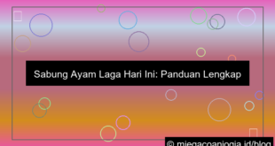 sabung ayam laga hari ini