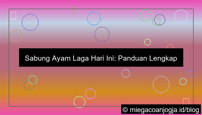 sabung ayam laga hari ini