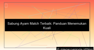 visual sabung ayam match terbaik