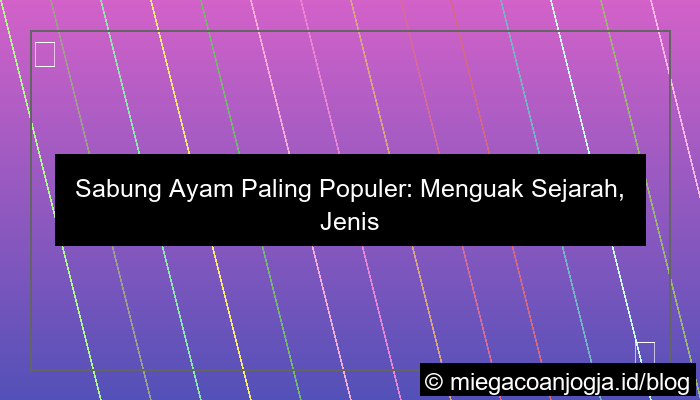 gambar sabung ayam paling populer