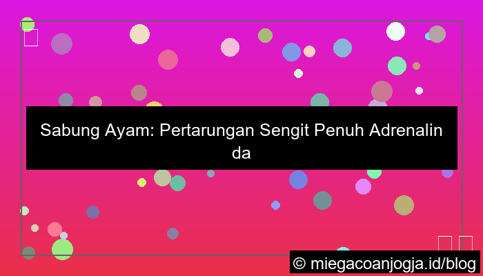 visual sabung ayam pertarungan sengit
