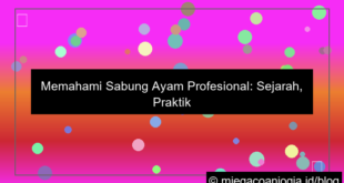 ilustrasi sabung ayam profesional