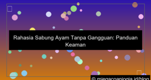sabung ayam tanpa gangguan