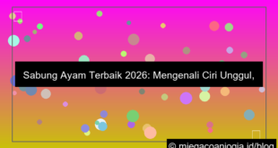 sabung ayam terbaik 2026