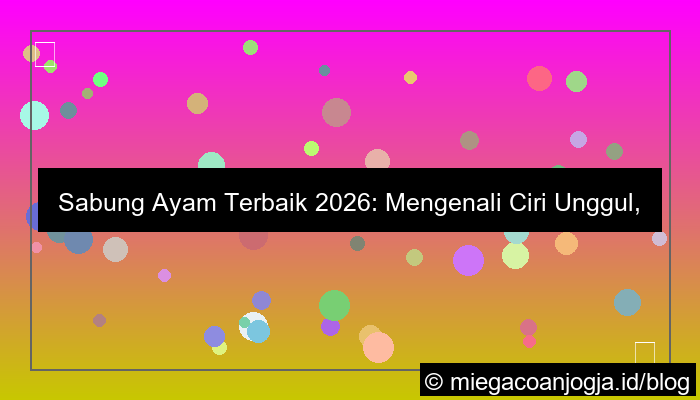 sabung ayam terbaik 2026